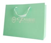 Подарочная сумочка с логотипом Premier зеленая